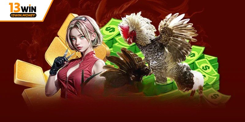 Cá cược đá gà ăn tiền thật