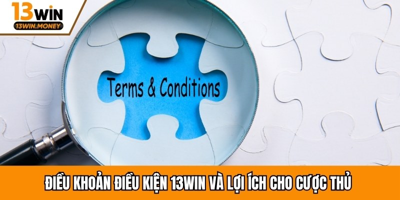 Điều khoản điều kiện 13WIN và lợi ích cho cược thủ 