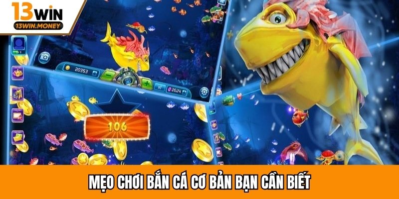 Mẹo chơi bắn cá cơ bản bạn cần biết