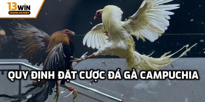 Quy định, luật lệ tham gia cá cược đá gà Campuchia