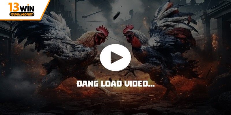 Sự lôi cuốn của trang đá gà online uy tín