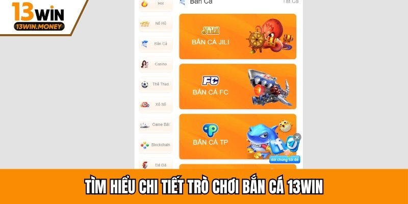 Tìm hiểu chi tiết trò chơi bắn cá 13win
