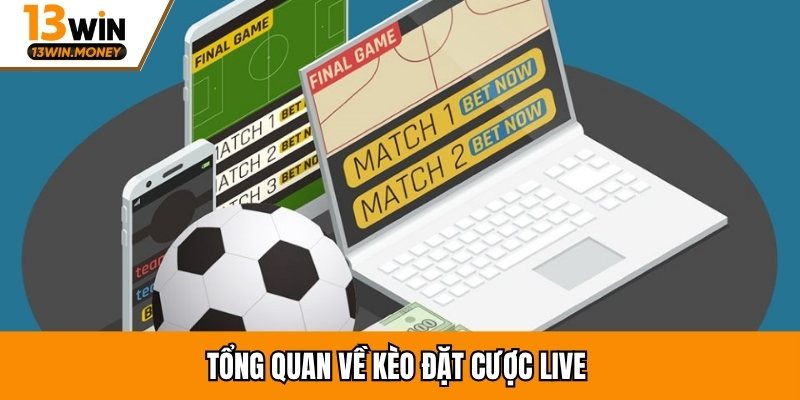 Tổng quan về kèo đặt cược live 